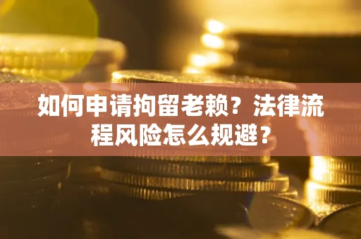 武汉如何申请拘留老赖？法律流程风险怎么规避？