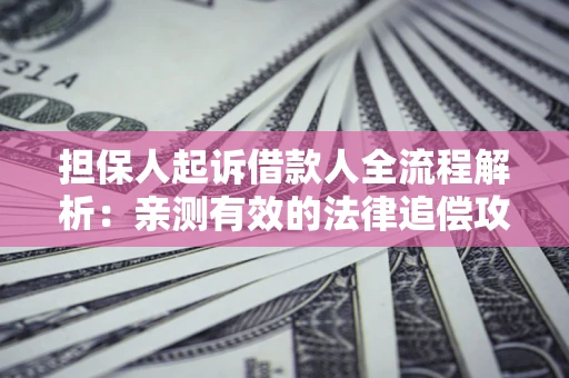 武汉担保人起诉借款人全流程解析：亲测有效的法律追偿攻略