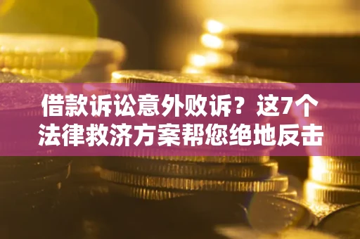 武汉借款诉讼意外败诉？这7个法律救济方案帮您绝地反击！