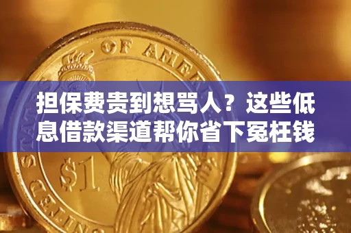 武汉担保费贵到想骂人？这些低息借款渠道帮你省下冤枉钱