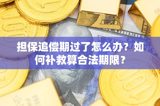 武汉担保追偿期过了怎么办？如何补救算合法期限？