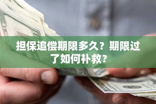 武汉担保追偿期限多久？期限过了如何补救？