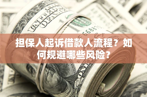 武汉担保人起诉借款人流程？如何规避哪些风险？