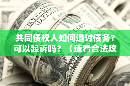 武汉共同债权人如何追讨债务？可以起诉吗？（速看合法攻略）