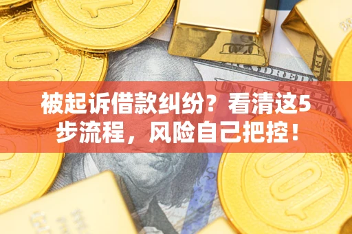 武汉被起诉借款纠纷？看清这5步流程，风险自己把控！