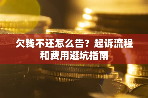 武汉欠钱不还怎么告？起诉流程和费用避坑指南