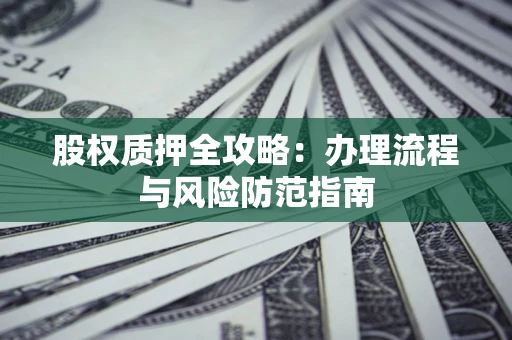 武汉股权质押全攻略：办理流程与风险防范指南