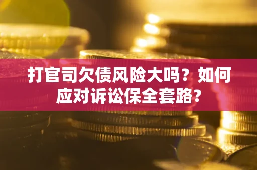 武汉打官司欠债风险大吗？如何应对诉讼保全套路？