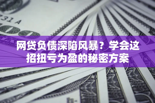 武汉网贷负债深陷风暴？学会这招扭亏为盈的秘密方案