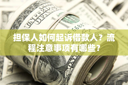 武汉担保人如何起诉借款人？流程注意事项有哪些？